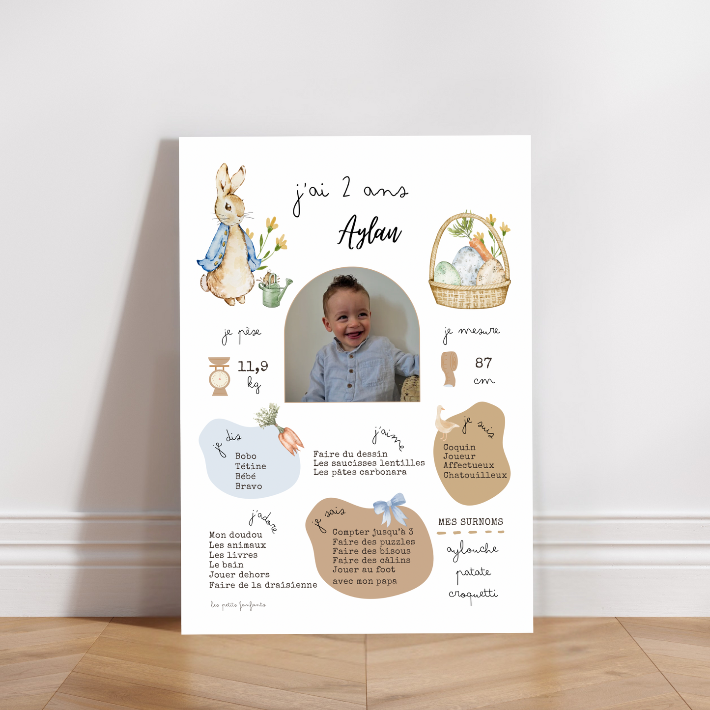Thème Pierre Lapin - Affiche anniversaire