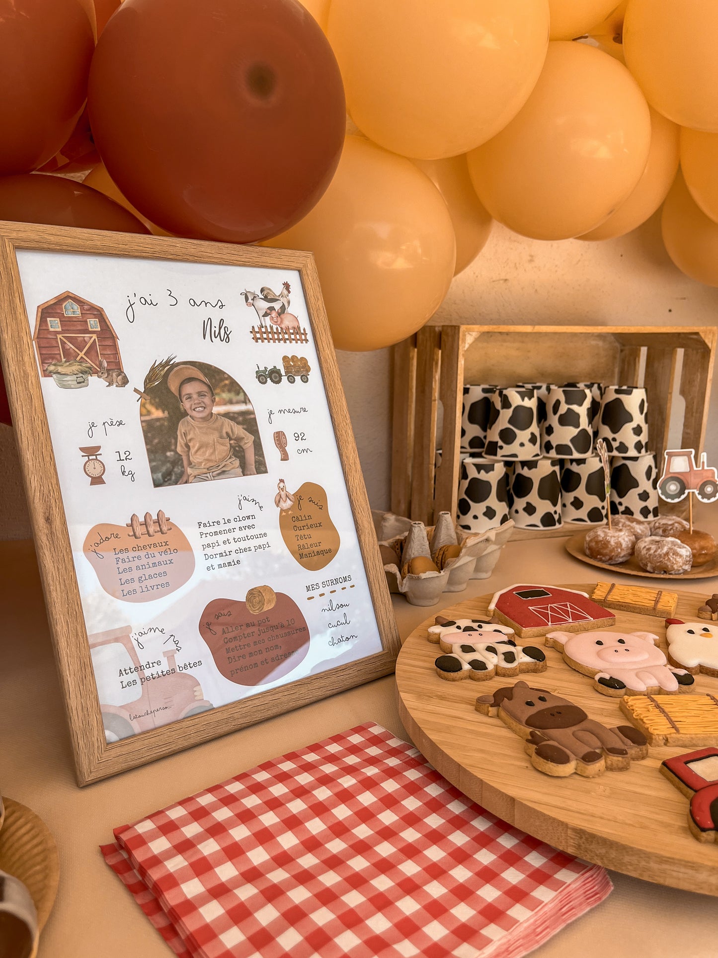 Thème Ferme version rouge - Affiche anniversaire