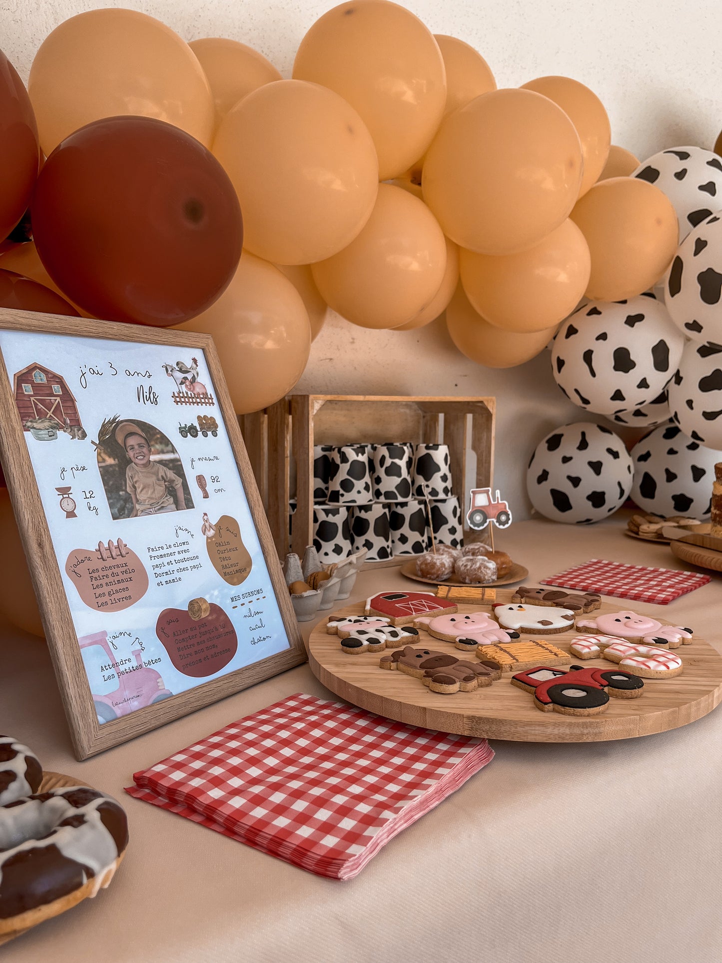 Thème Ferme version rouge - Affiche anniversaire